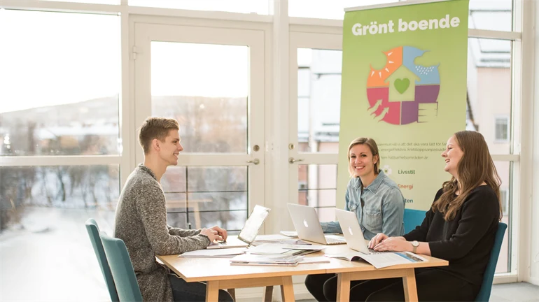 Civilingenjör industriell ekonomi SIMS