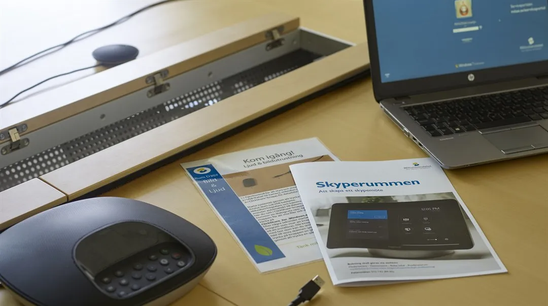 Skypemöte