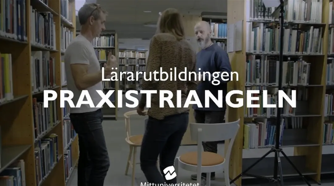 Praxistriangeln