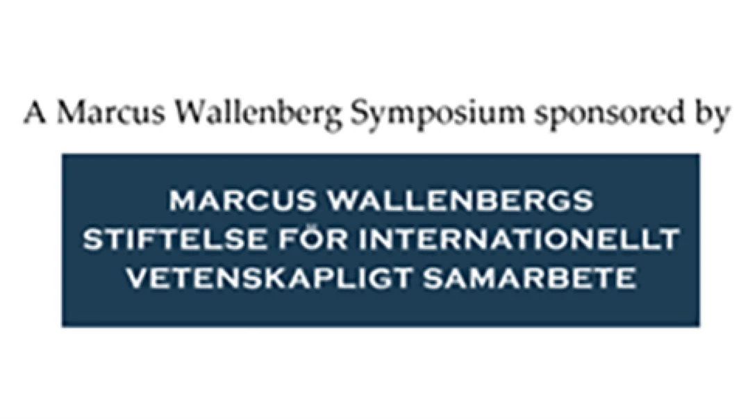Logotyp för Marcus Wallenbergs stiftelse