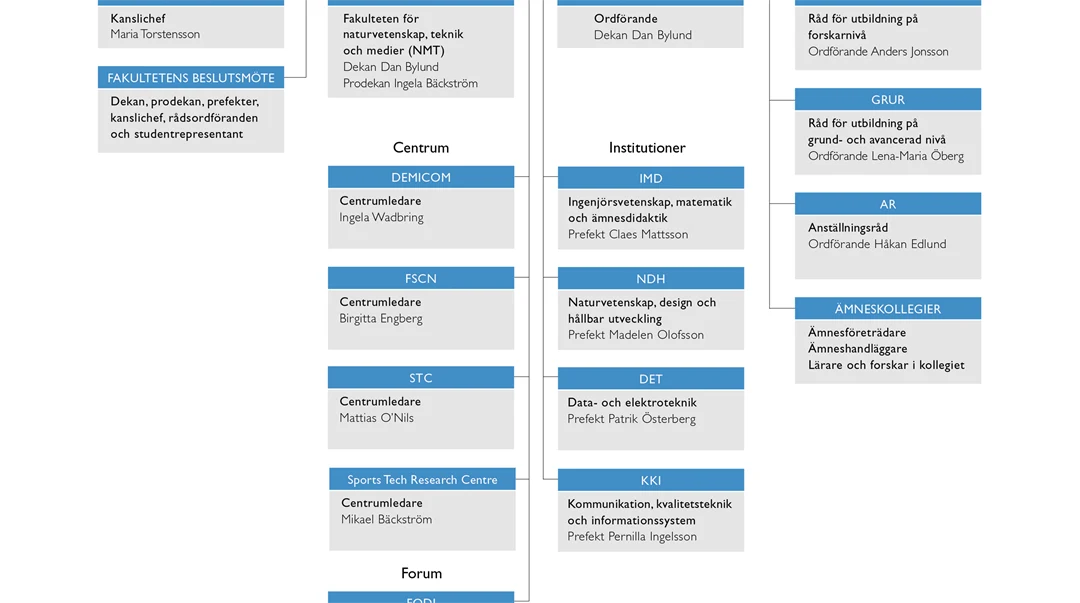 Organisationsskiss över NMT-fakulteten