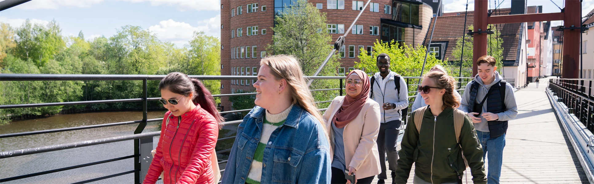 Kompisgäng som går på bron vid Campus Sundsvall.