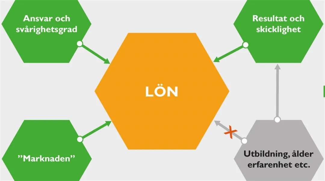 Lönekriterier_illustration som org-skiss
