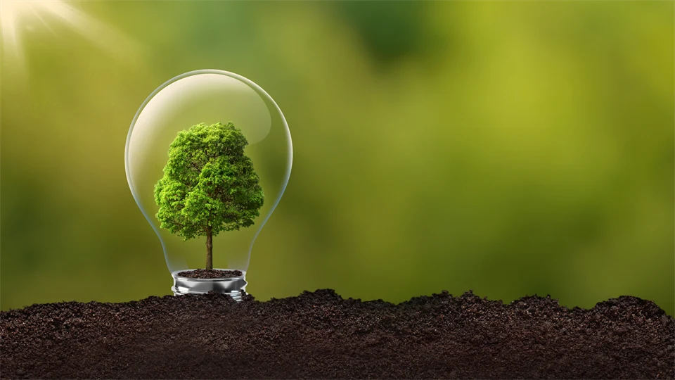 Träd som växer i en glödlampa, grön abstrakt bakgrund.