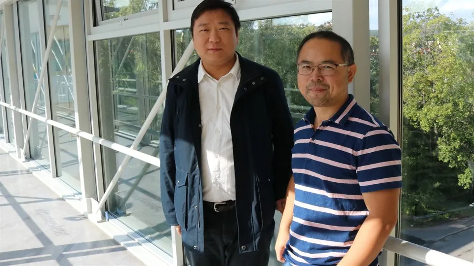 Professor Ya Yang