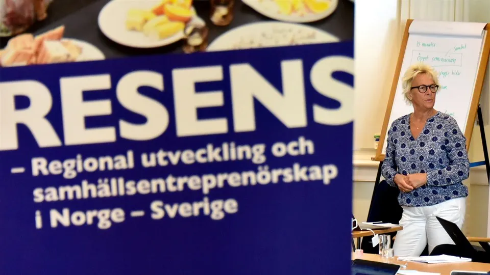 ReSeNS avslutningskonferanse, Yvonne von Friedrichs