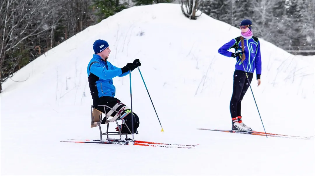 man åker sitski med kvinna på längdskidor