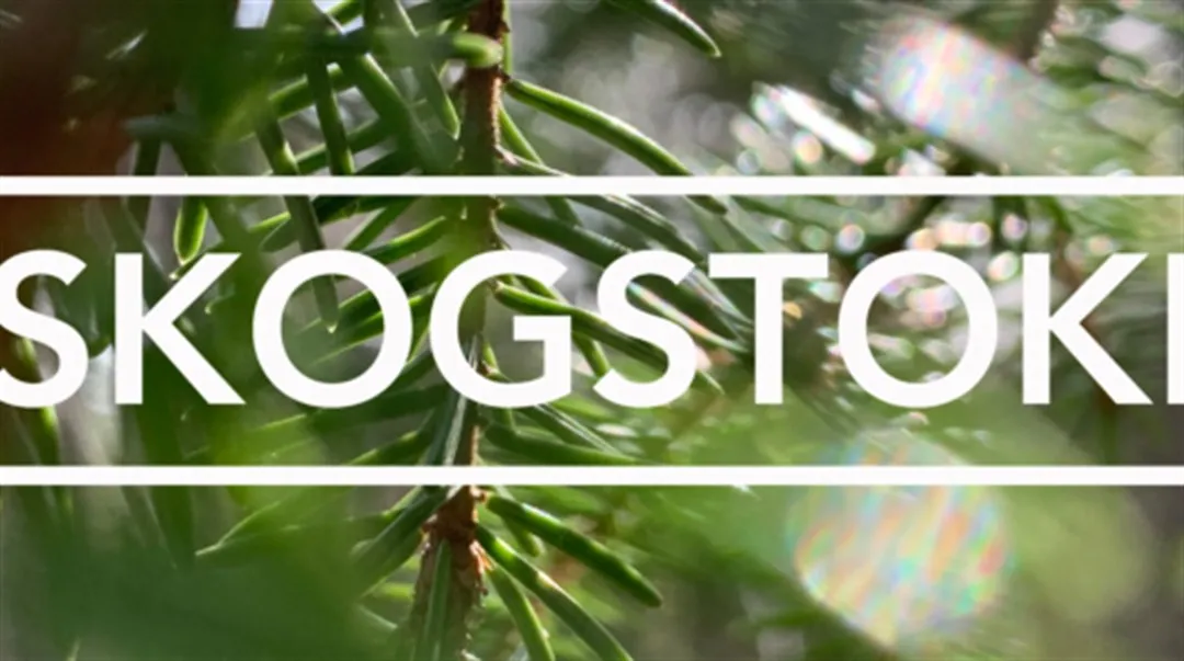 Bild på en gran i närbild med texten Skogstokig på