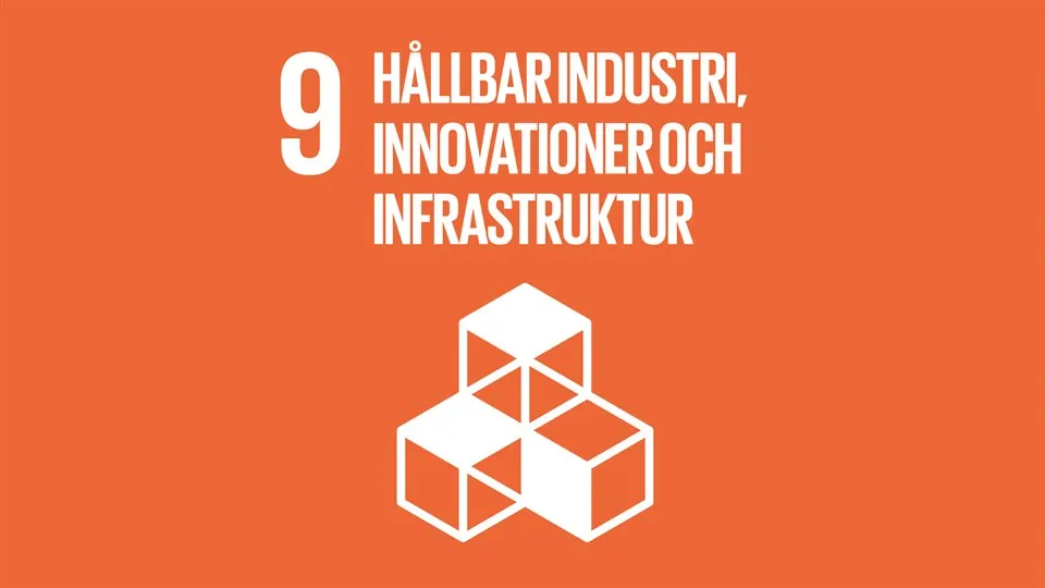 Globala målen