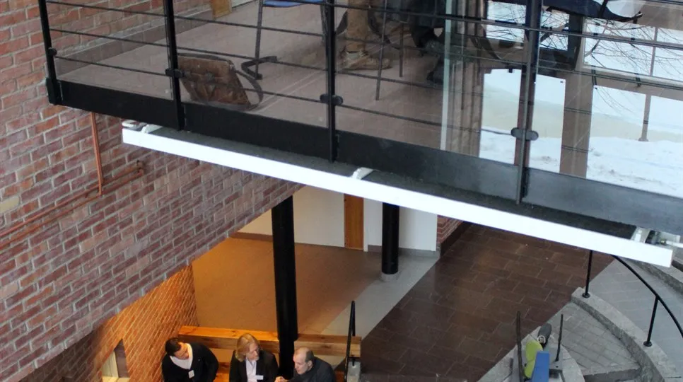 Referensgruppsmöte SMART 2017-01-25