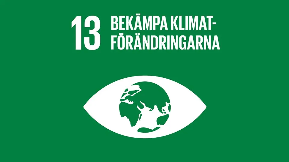 Globala målen
