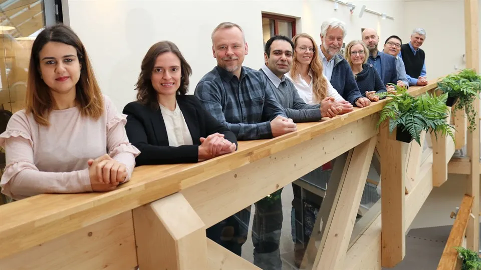 surface and colloid engineering group