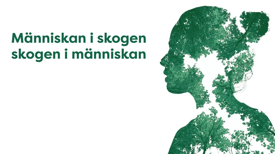 Siluett av ansikte i profil, fylld av träd